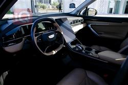 جيلي ستاراي